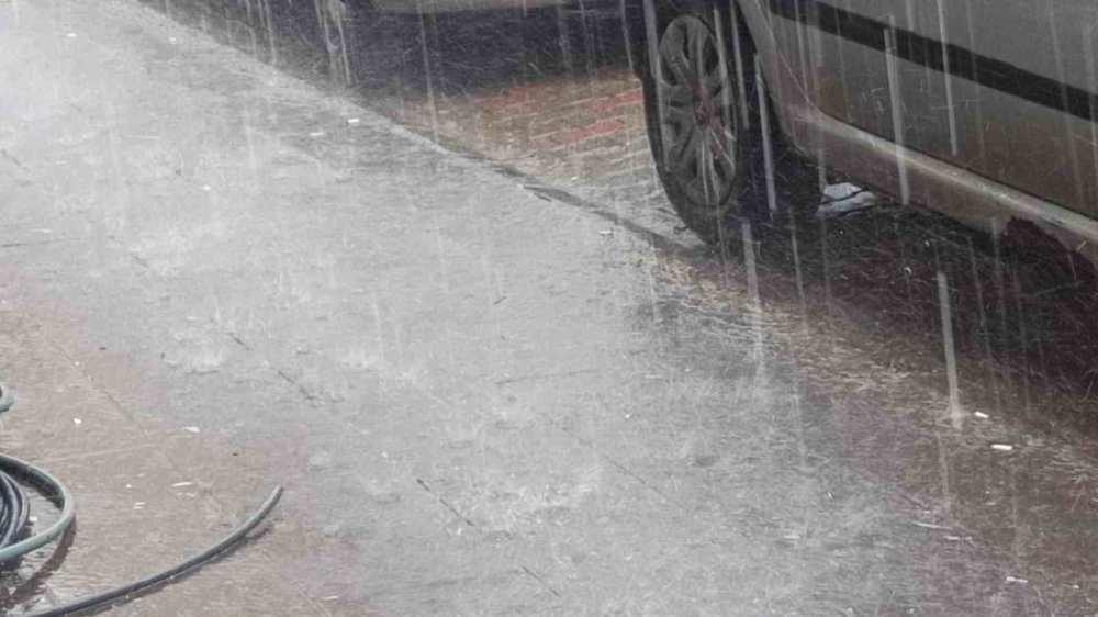 Ahlat’ta şiddetli yağmur etkili oldu