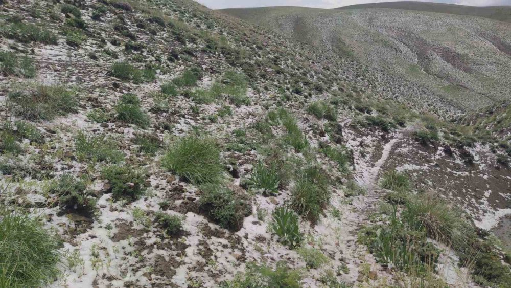 Erek Dağı eteklerinde Haziran ayında kar sürprizi