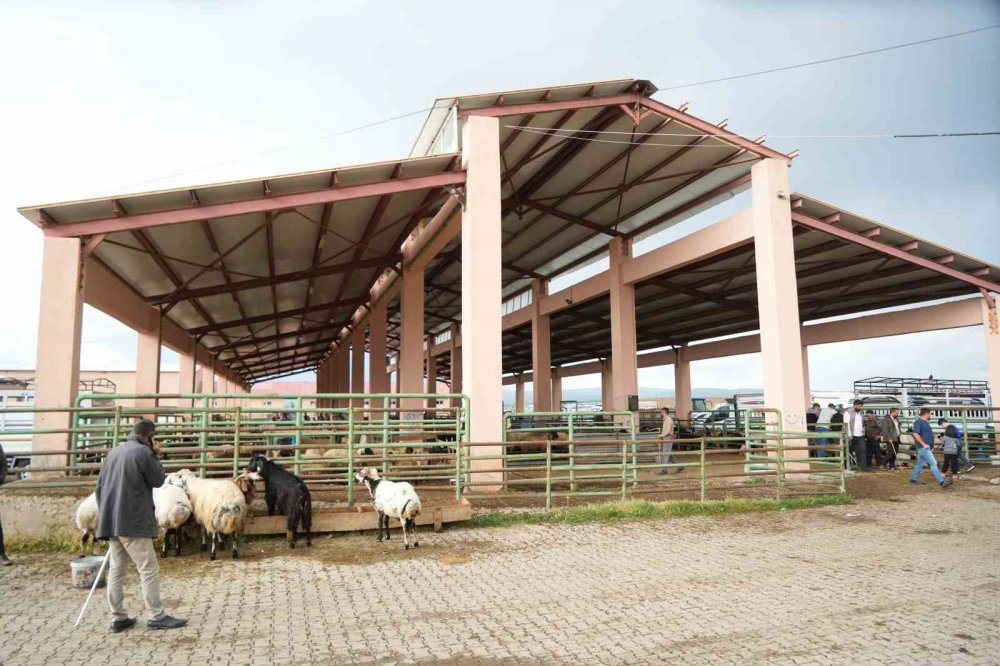 Muş’taki kurban pazarı hareketlendi
