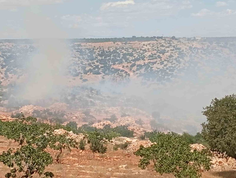Antep’te fıstık ve zeytin bahçelerinde yangın