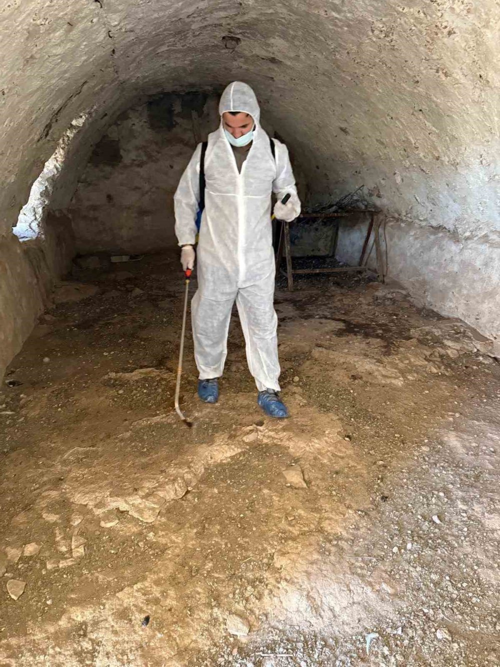 Şırnak’ta şap hastalığı tespit edildi bir köy karantinaya alındı