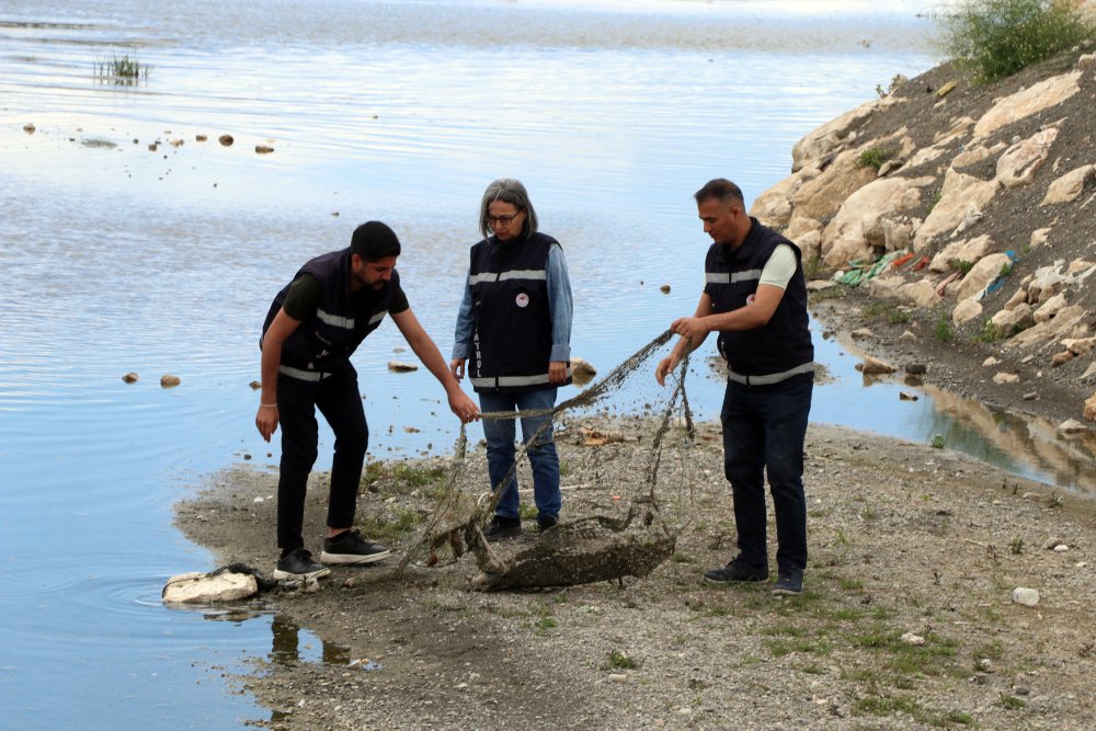 Bayramda 7/24 inci kefali denetimi yapılıyor