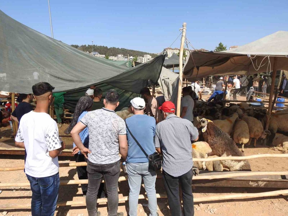 Kurban Bayramı’nın ilk günü Antep'teki hayvan pazarları dolup taştı