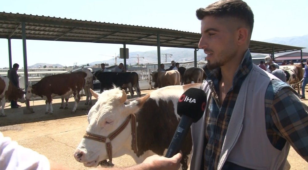 Malatya Canlı Hayvan Pazarı’nda yoğunluk