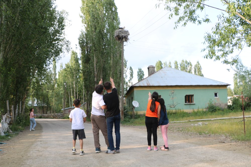 Köprücük köyünde leylekler 22 yıldır aynı yuvada