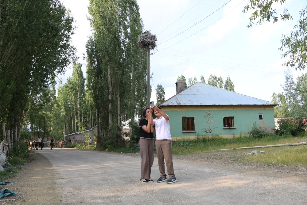 Köprücük köyünde leylekler 22 yıldır aynı yuvada