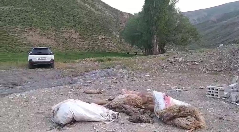 Sakatatların yol kenarına attılar