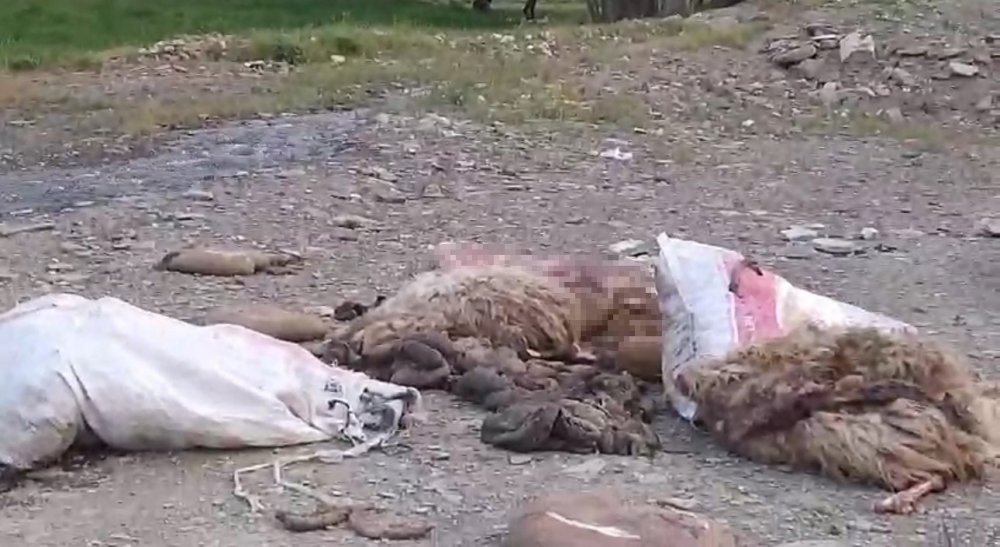 Sakatatların yol kenarına attılar