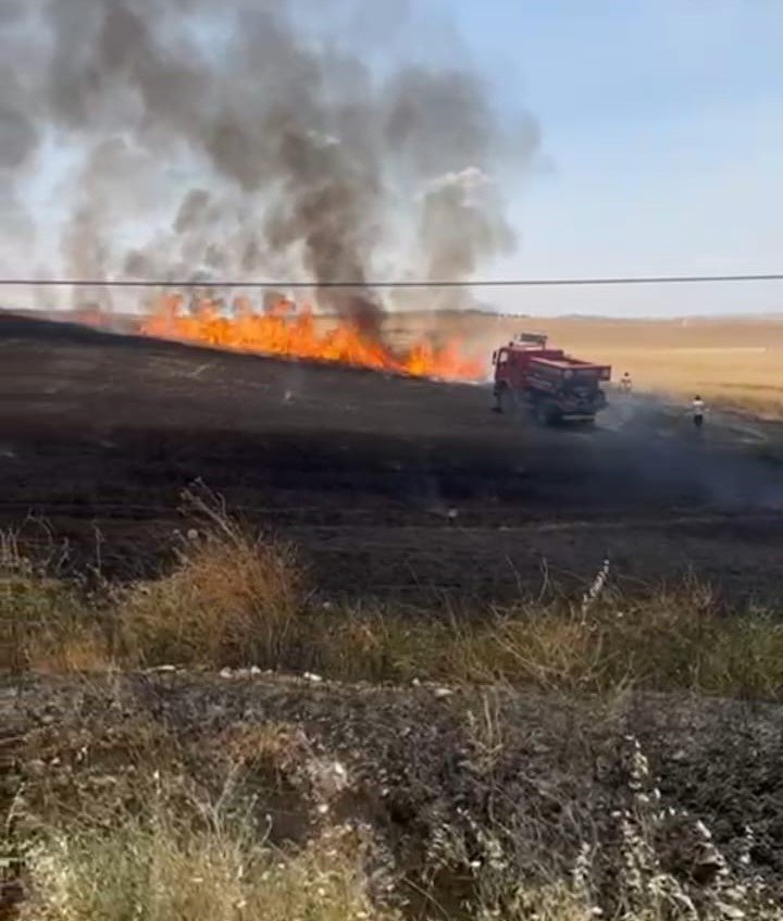 Batman’da 25 dönüm ekili buğday yandı