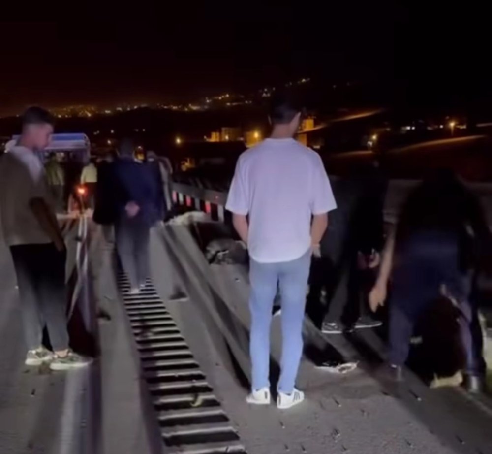 Hafif ticari kamyonet sürüye çarptı; 8 koyun öldü