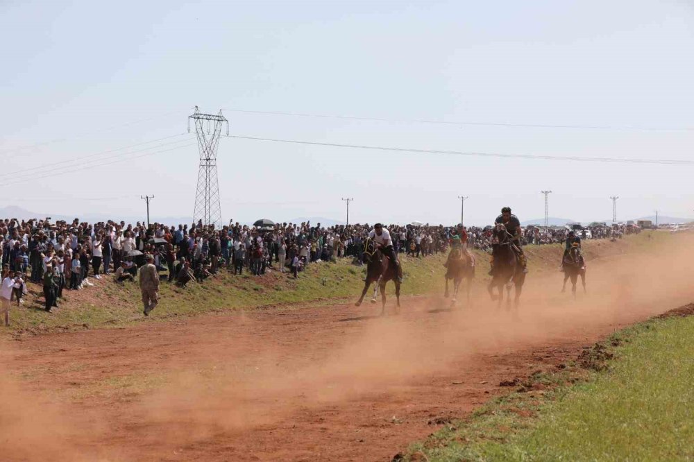 Hınıs’ta geleneksel At Yarışı Festivali düzenlendi