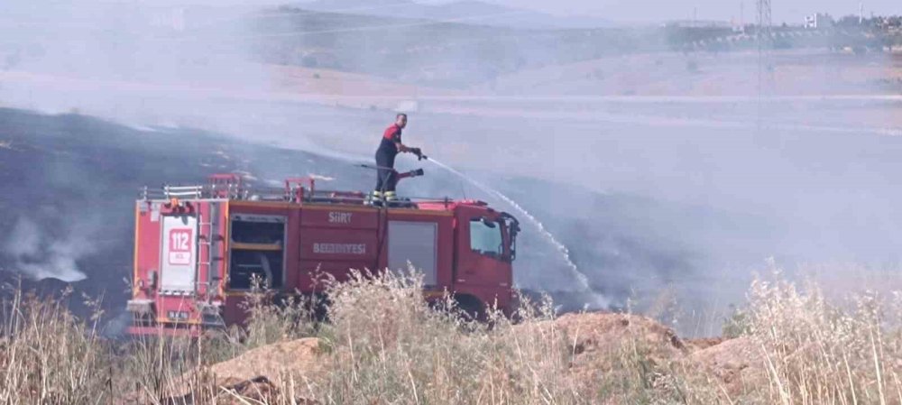 Siirt’teki yangında ekili alanlar zarar gördü