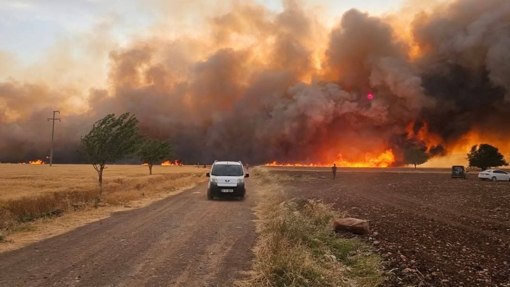 Araban Ovası’nda 2 bin dönüm ekili alan yandı