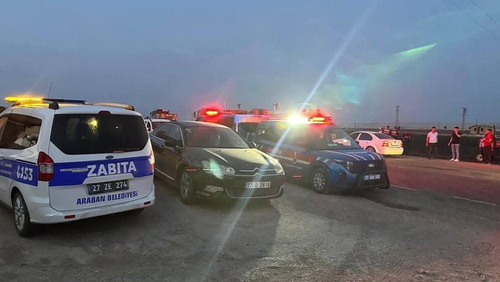 Araban Ovası’nda 2 bin dönüm ekili alan yandı