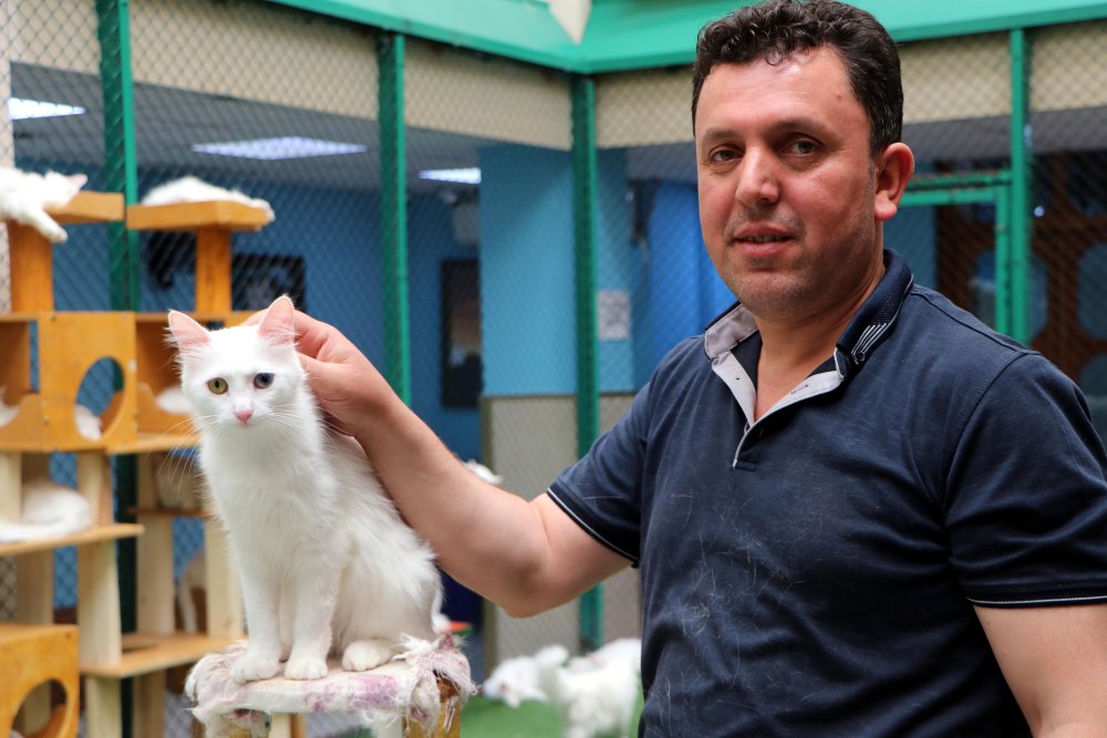 Van Kedi Villası'na 55 yeni üye katıldı