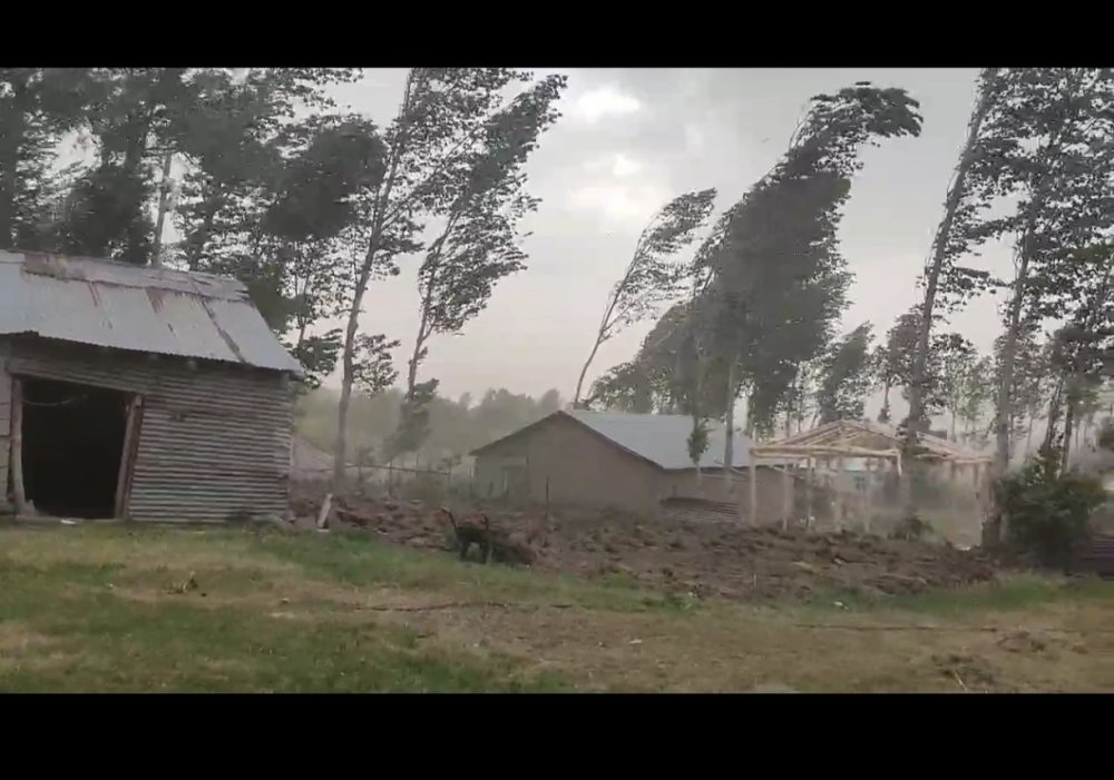 Muş’ta fırtına ağaçları ve elektrik direklerini devirdi