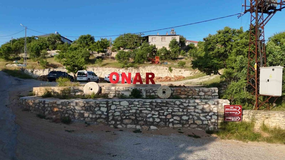 800 yıllık "Menengiç ağacı" zamana direniyor