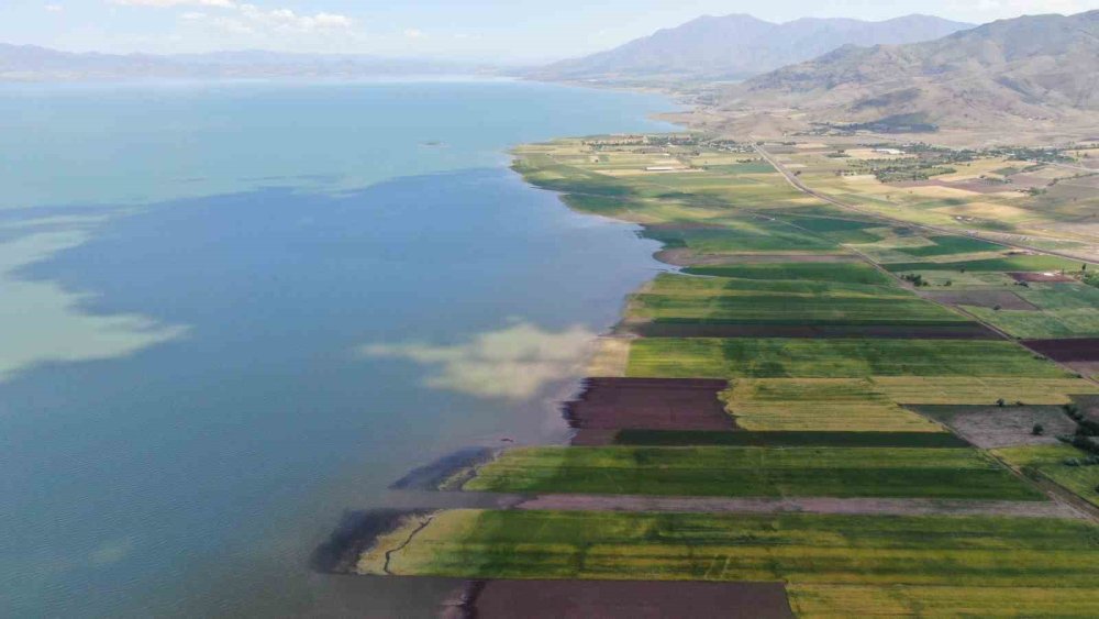 Baraj yükseldi, binlerce dönüm ekili alan su altında kaldı