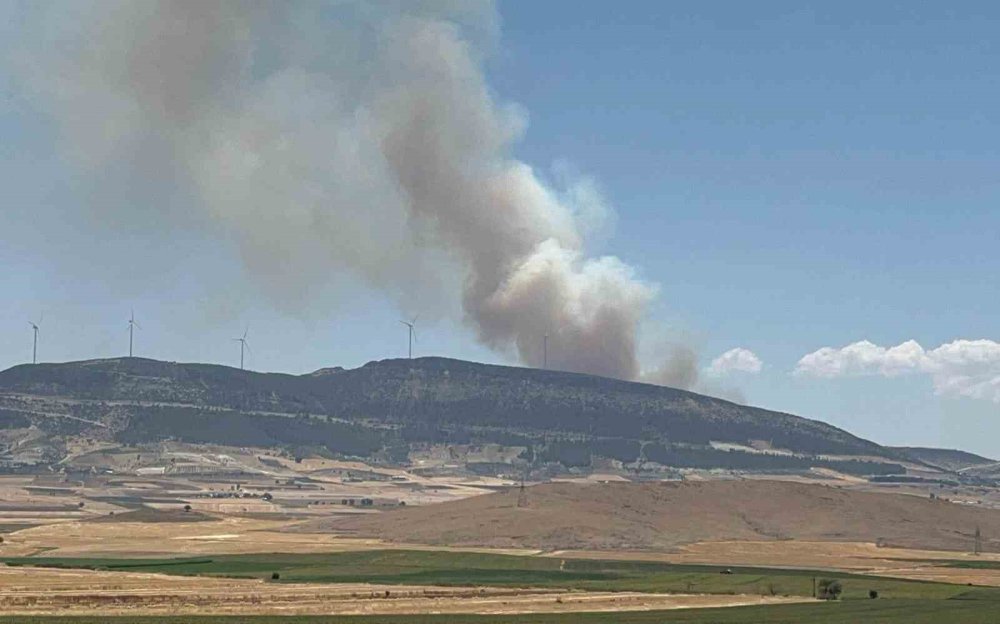 Antep’te orman yangını: Yangına havadan ve karadan müdahale ediliyor