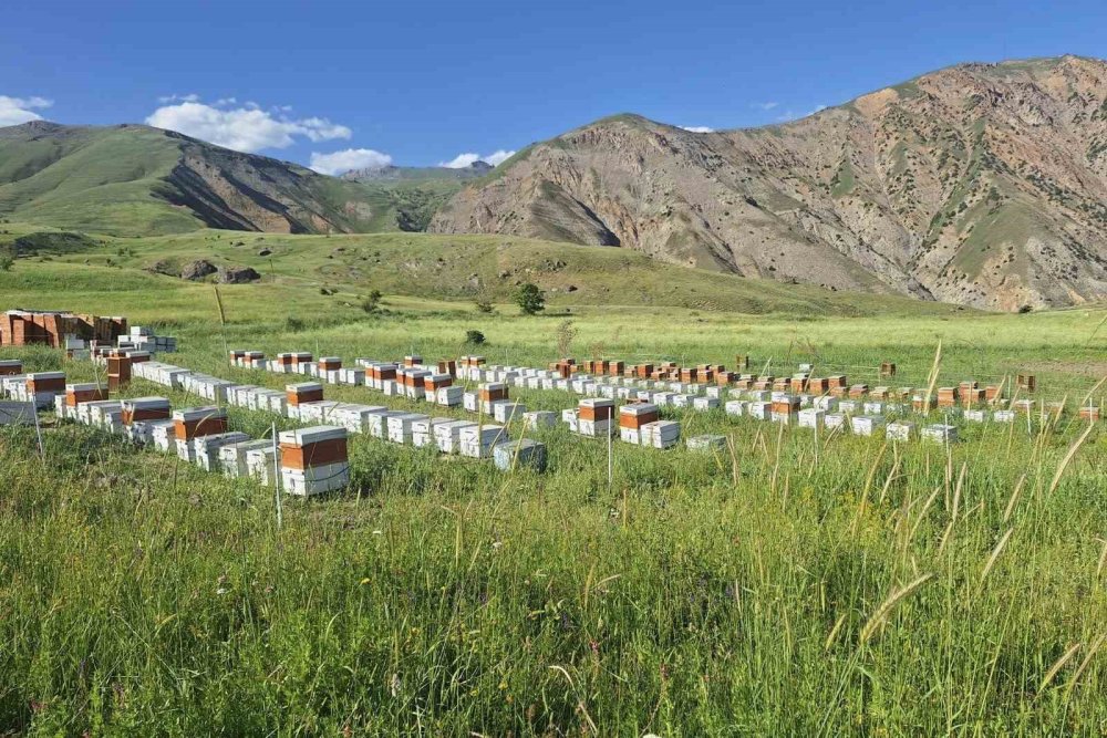 Hakkâri’de kırsal kalkınma için 38 milyon TL'lik hibe desteği