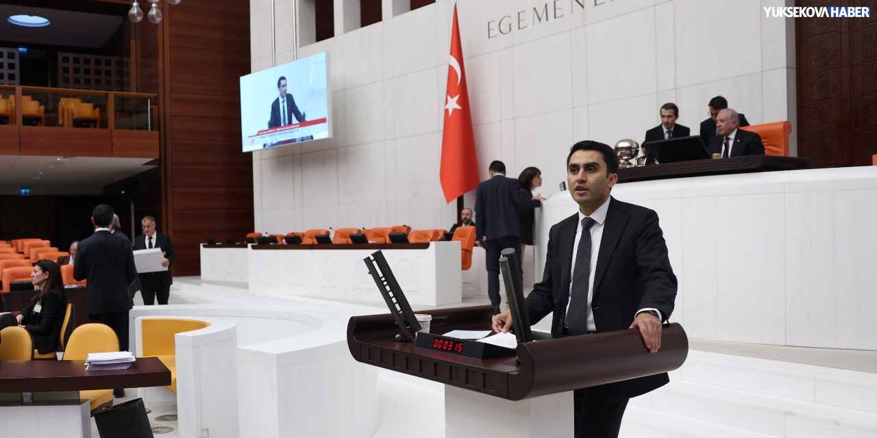 vezir-parlak2.jpg