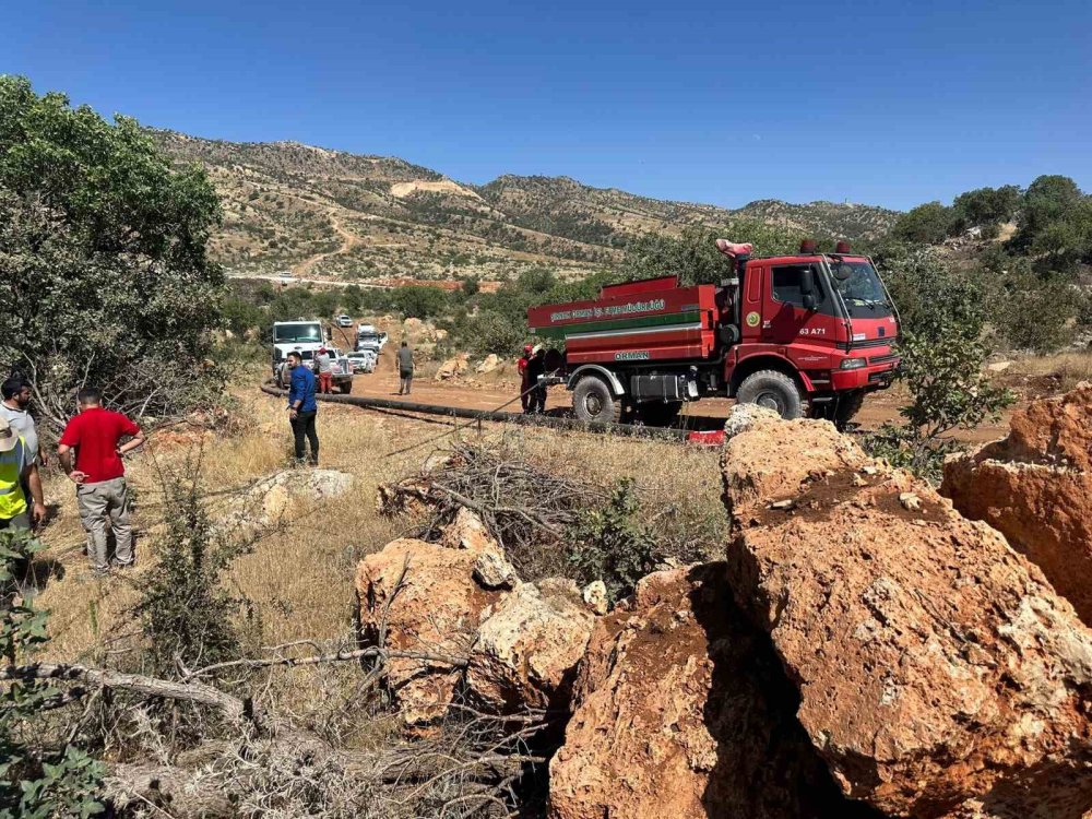 Gabar'da orman yangını