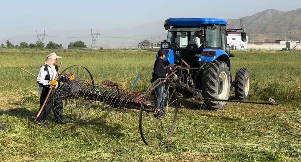 Kızgın güneş altında ekmek mücadelesi
