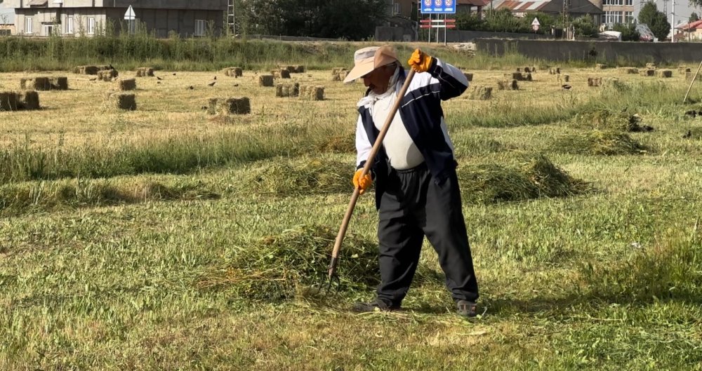 Kızgın güneş altında ekmek mücadelesi