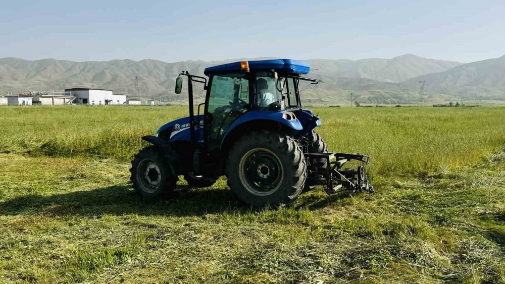 Kızgın güneş altında ekmek mücadelesi