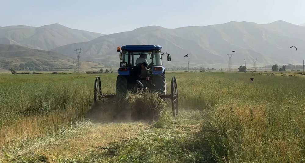 Kızgın güneş altında ekmek mücadelesi