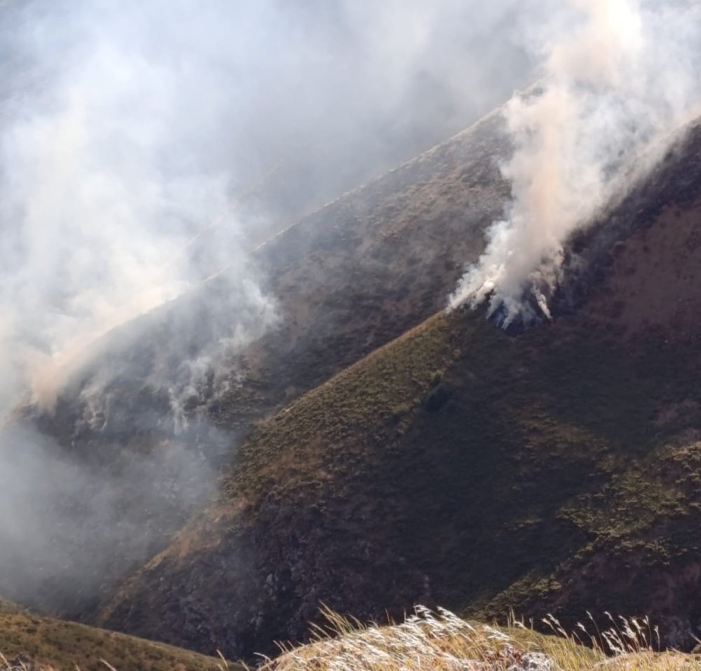 Teşikan yaylasında korkutan yangın