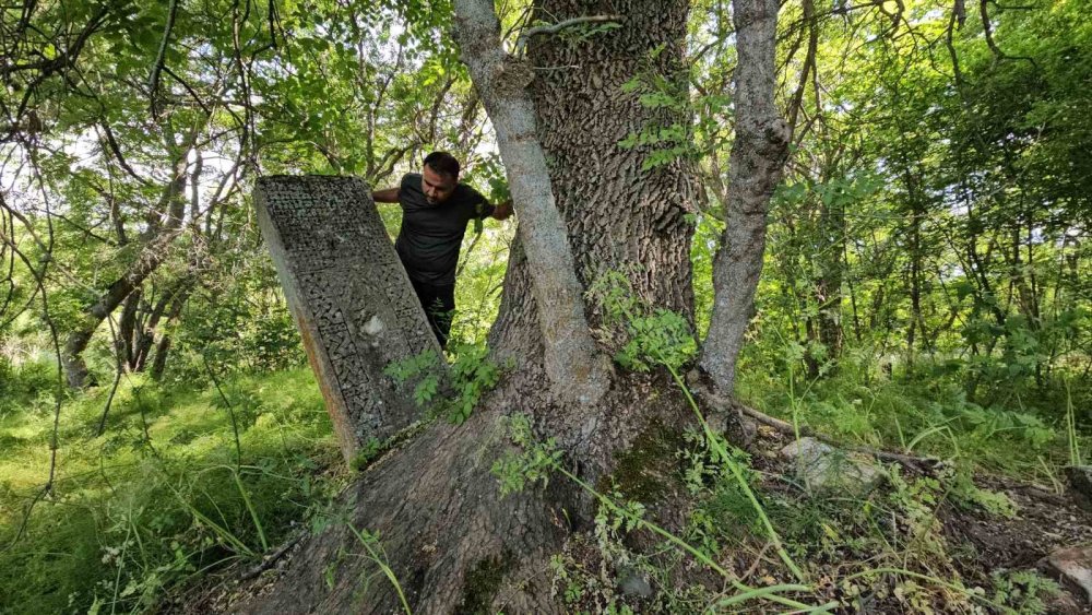 Tatvan'da asırlık mezarlar ağaçların arasında kayboldu