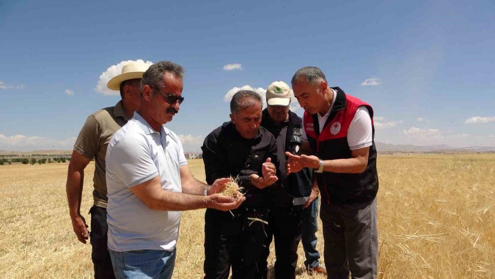 Kuraklık Vanlı çiftçileri olumsuz etkiledi