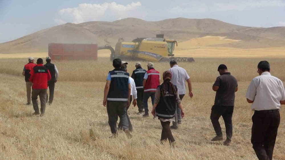 Kuraklık Vanlı çiftçileri olumsuz etkiledi