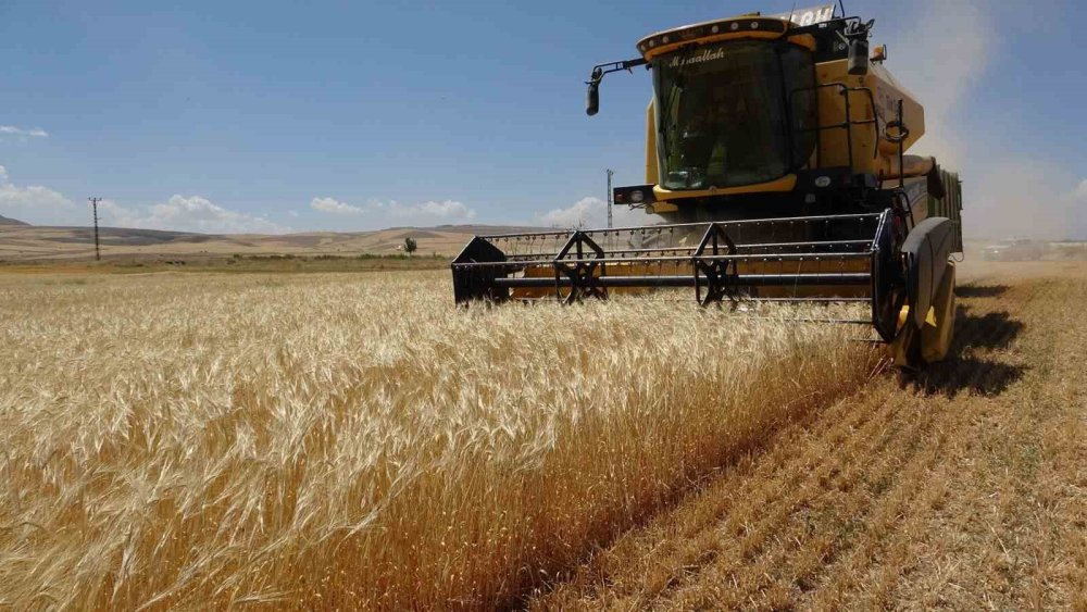 Kuraklık Vanlı çiftçileri olumsuz etkiledi