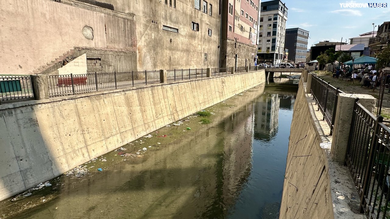 img-5348.jpeg