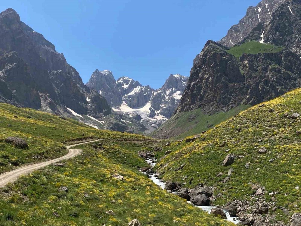 Cilo buzulları eriyor