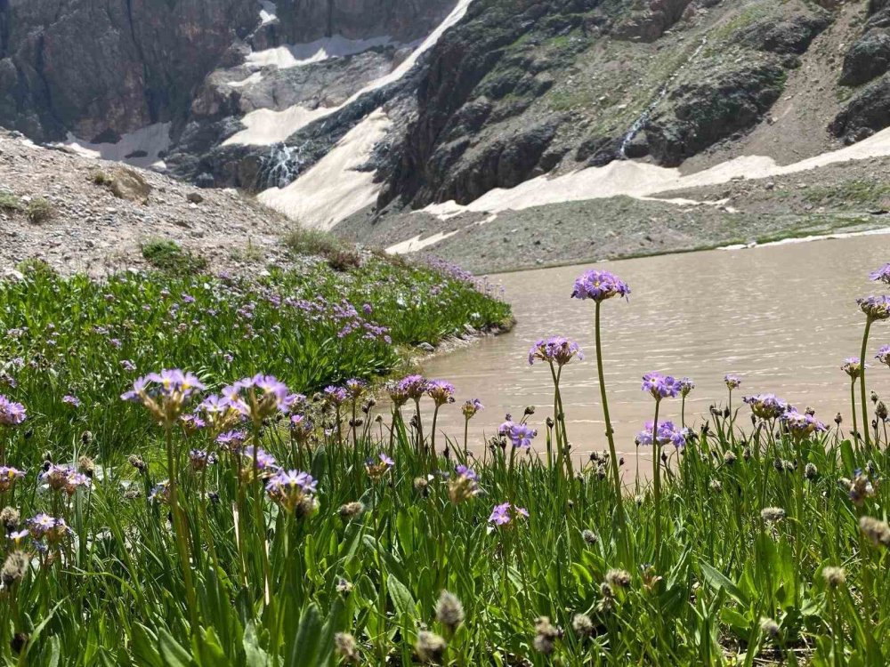 Cilo buzulları eriyor
