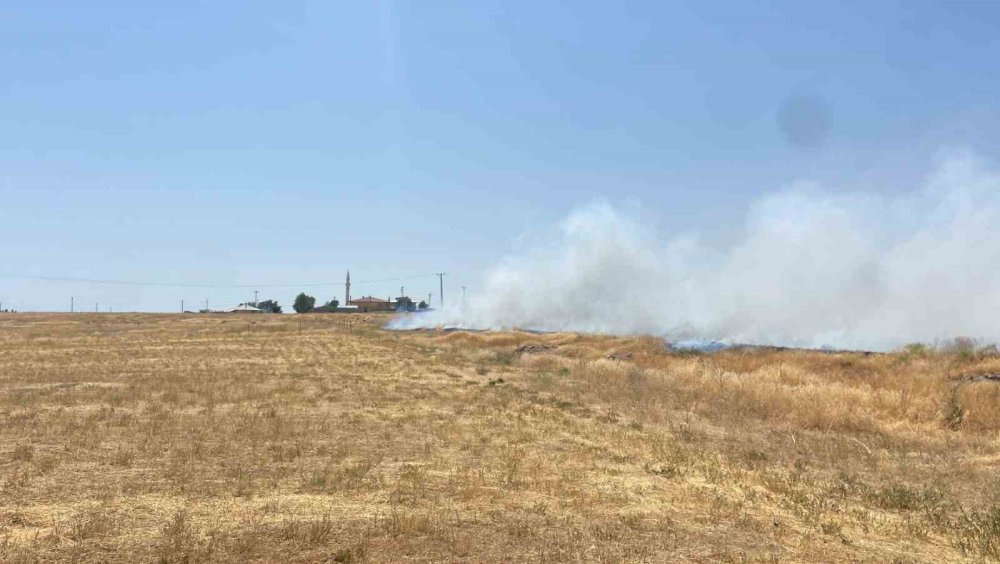 Adilcevaz’da arpa tarlasında yangın