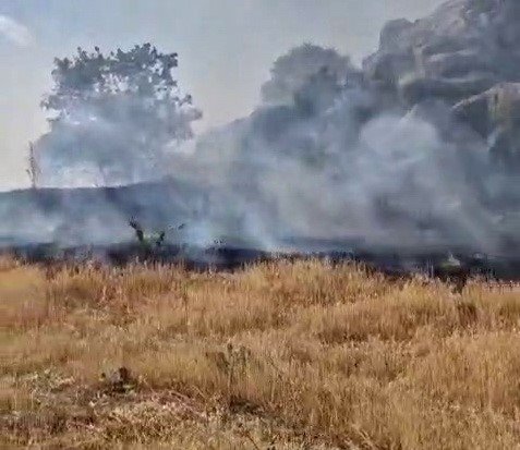 Adıyaman'ın Tut ilçesinde örtü yangını