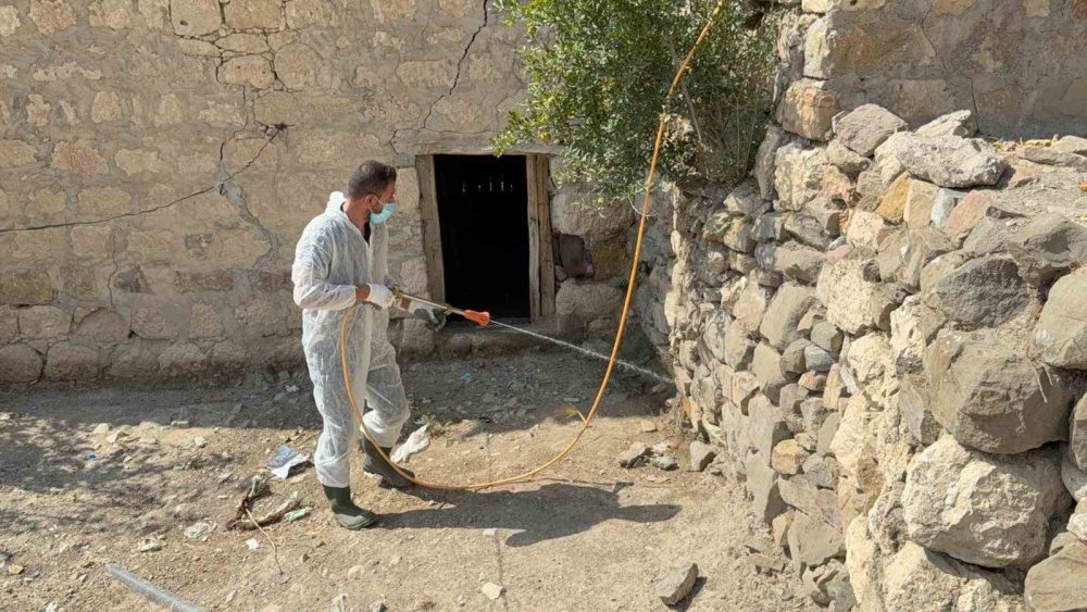Akreplerin istila ettiği köyde ilaçlama yapıldı