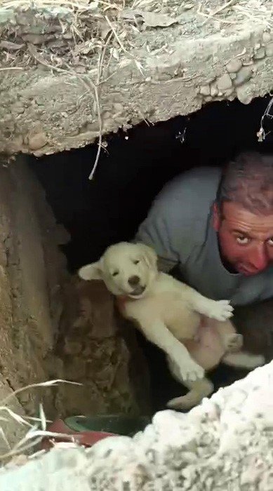 Lağım kuyusuna düşen yavru köpekleri vatandaşlar kurtardı