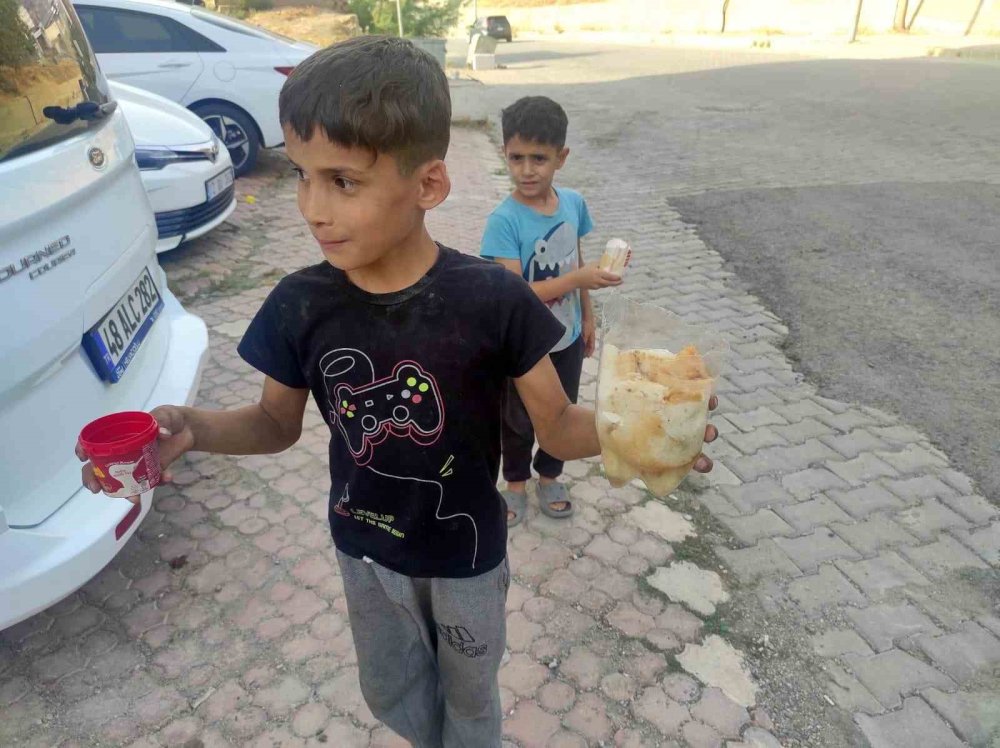 Salonda çocuklar yüksek sıcaktan etkilenen sokak hayvanları için su ve yiyecek bıraktı