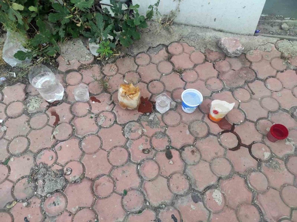 Salonda çocuklar yüksek sıcaktan etkilenen sokak hayvanları için su ve yiyecek bıraktı