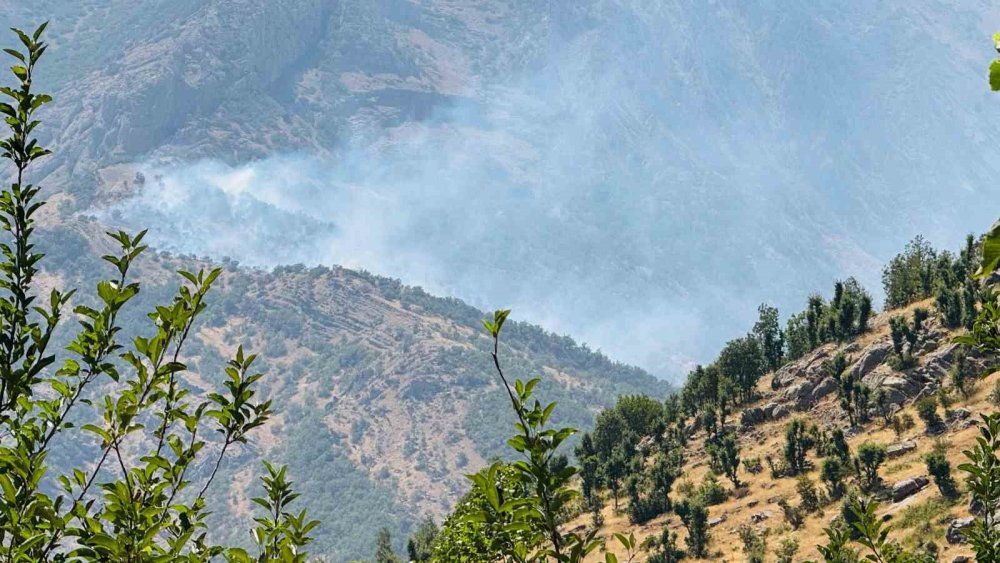 Beytüşşebap'ta orman yangını: Alevler kontrol altına alınamıyor