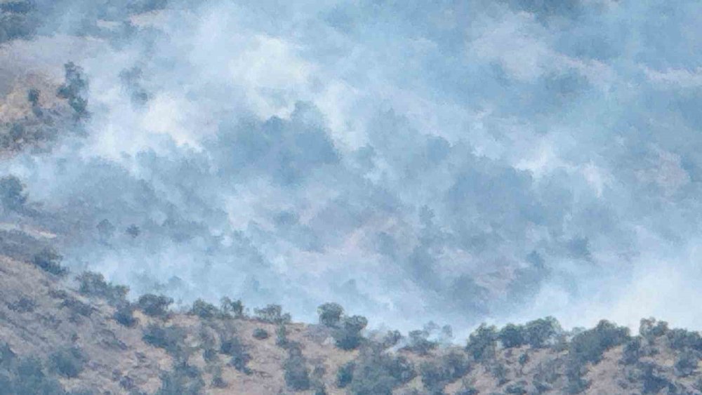 Beytüşşebap'ta orman yangını: Alevler kontrol altına alınamıyor