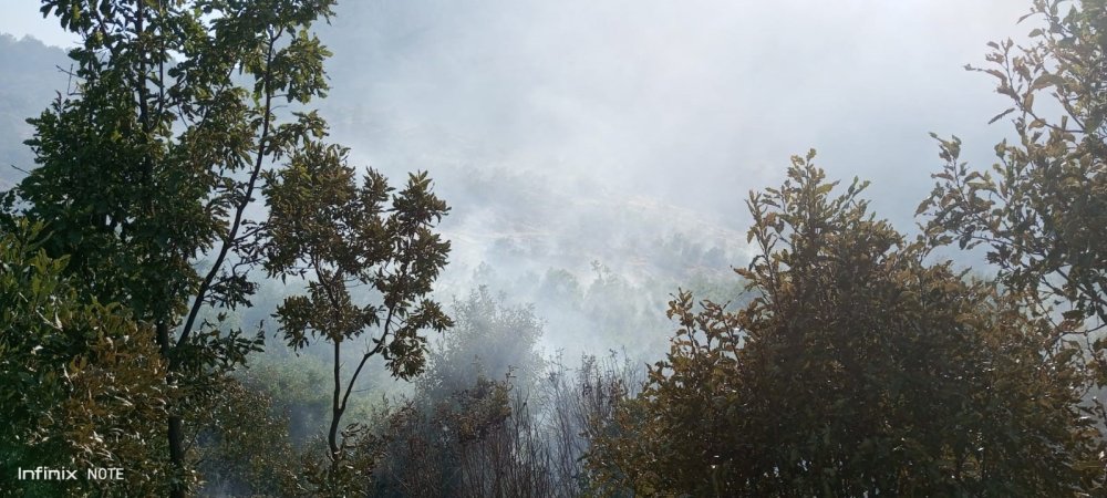 Beytüşşebap'taki orman yangını 9 saatte kontrol altına alındı