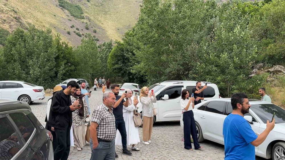 Nemrut’ta ayılarla yakın temas, doğal yaşamı tehdit ediyor