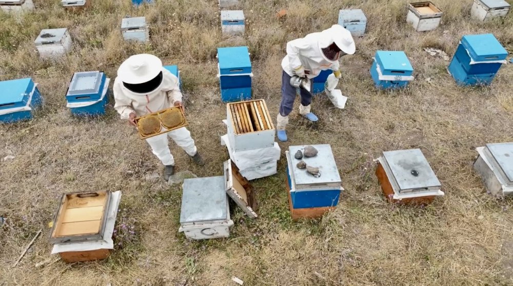 Ağrı’da kadınlar bal üretimine yöneliyor