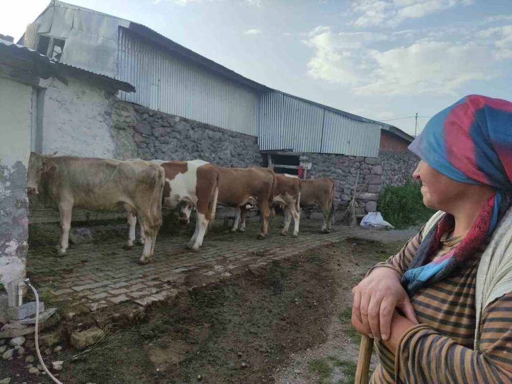 ATSO Başkanı Demirci: "Şap hastalığı ilimiz ekonomisine ciddi darbe vurmuştur"